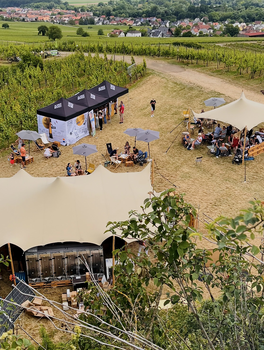 La Tournée des Terroirs – Alsace Rocks 2025 : 8 dates festives au cœur des vignes avec Aventure &&nbsp;Camp