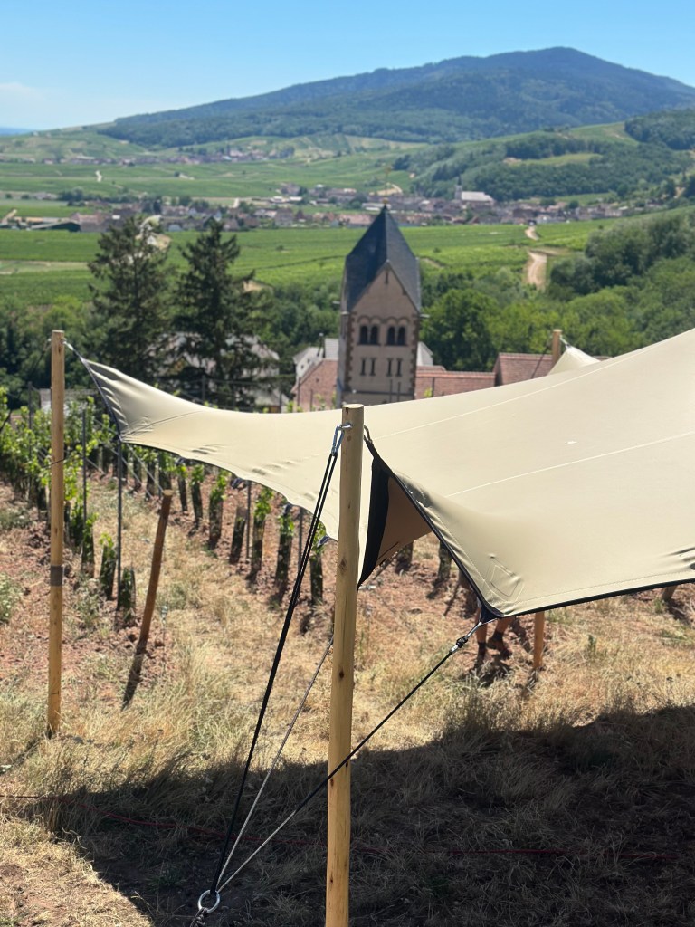 Tente nomade XS39 - Un événement sous tente nomade au coeur des vignes.